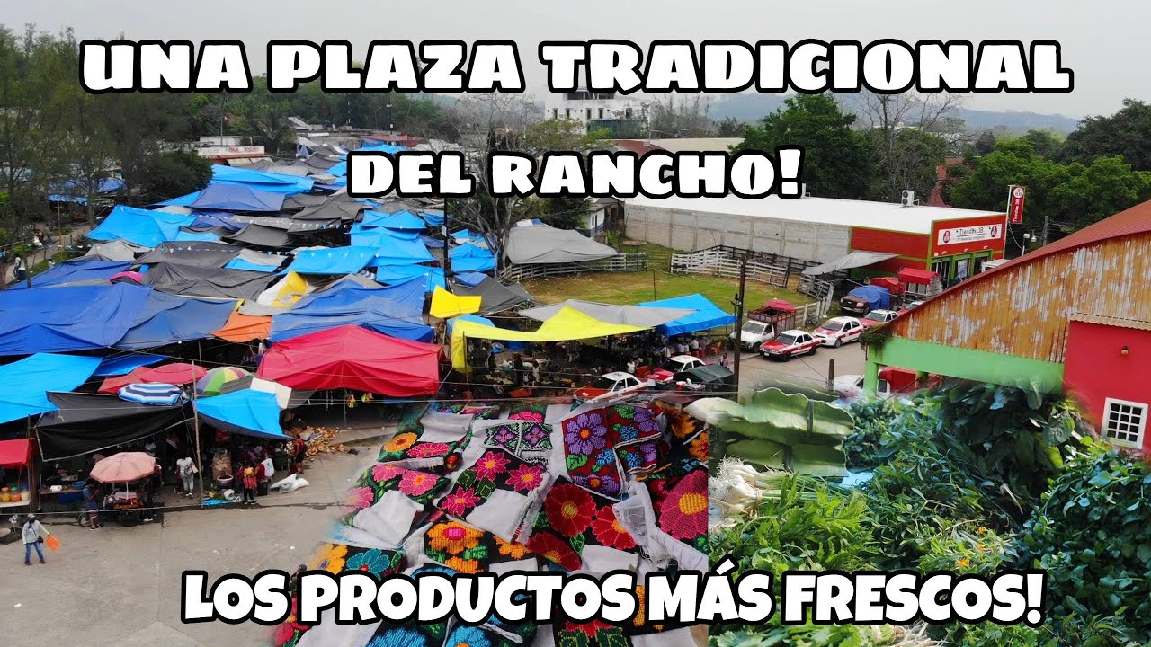 Llano de Enmedio Veracruz|Esto encuentras en una plaza del rancho,