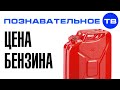 Почему в России дорогой бензин? (Познавательное ТВ, Артём Войтенков)