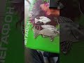 плазмарез #сварка #мангал #шарабан #своимируками #рыба