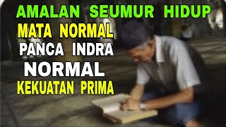 Amalan Seumur Hidup Mata Normal, Panca Indra Normal, Kekuatan Prima