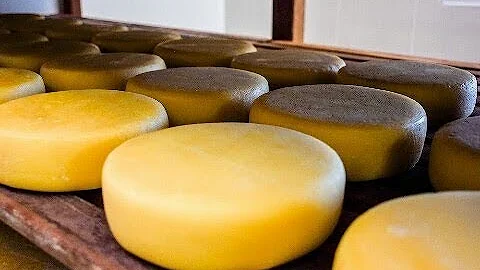 Como curar o queijo na tábua?