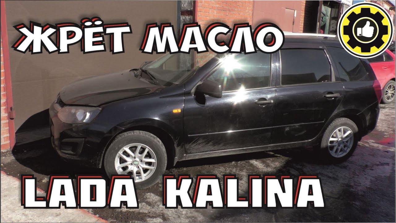 Keng dumba porno rasmlar Biseksual mavjudotlar porno rasmlar