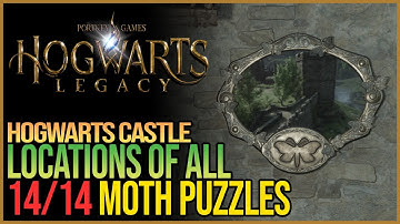All Hogwarts Butterfly Mirror Puzzles Hogwarts Legacy