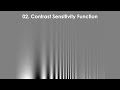 02 contrast sensitivity  visual acuities