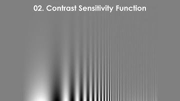 02. Contrast Sensitivity & Visual Acuities