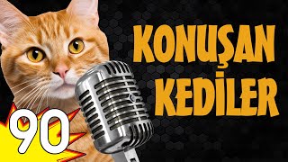 Konuşan Kediler 90 - En Komik Kedi Videoları - Miyav Tv