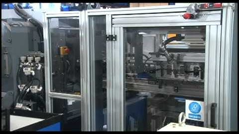 Side Entry Servo Robotic IML System for 2 cavity Mold