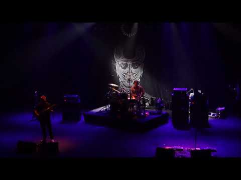 Animals as Leaders