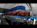 Proseal  bunzl ag group strawberry packaging
