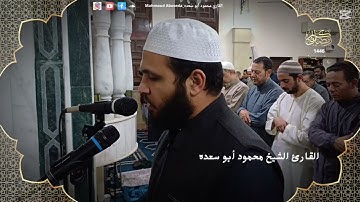 تلاوه خاشعه 56 || للقارئ الشيخ محمود أبو سعده الليلة الرابعة و العشرون