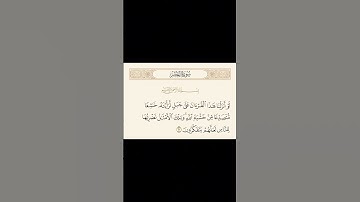 سورة الحشر الاية 21 الشيخ عبدالباسط عبدالصمد #سورة_الحشر #عبدالباسط_عبدالصمد #القرآن_الكريم #quran