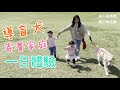 【聞】導盲犬寄養家庭一日體驗｜美人瑜媽媽 陳乃瑜主播
