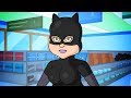 Catwoman's Biggest Fan