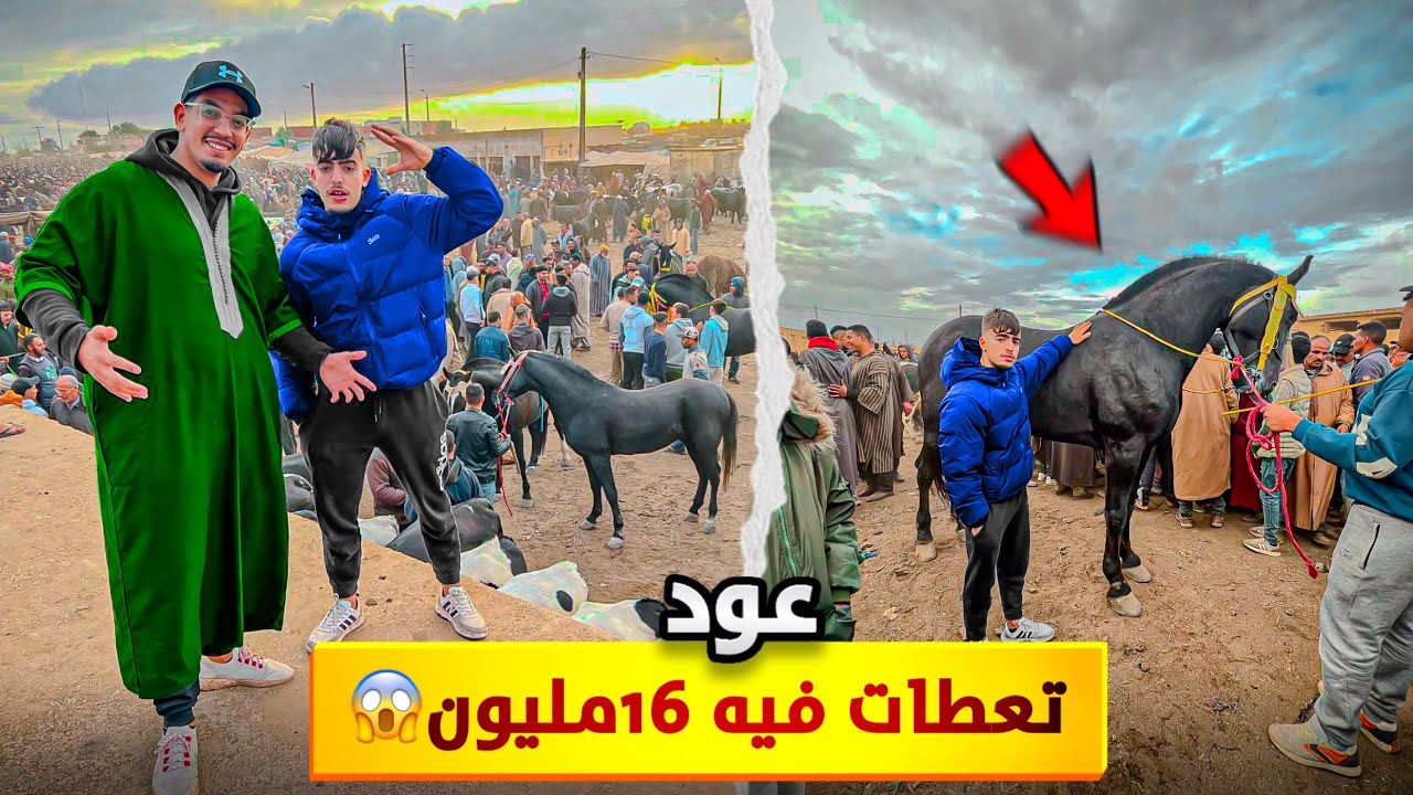 	“يوم استثنائي في سوق الخيول…“خيول نادرة ومنافسة قوية في السوق 🐴✨”