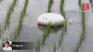 Robotic Duck for organic rice farming
