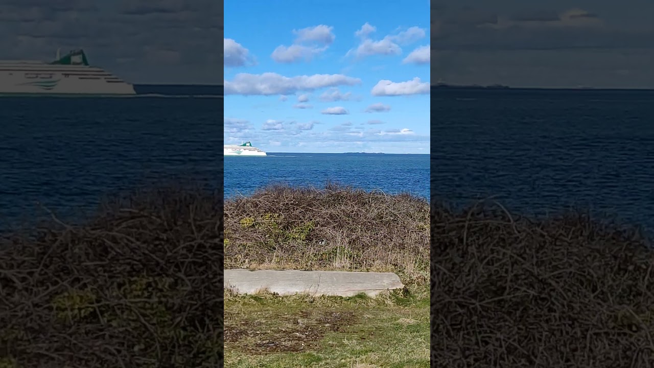 #irishferry