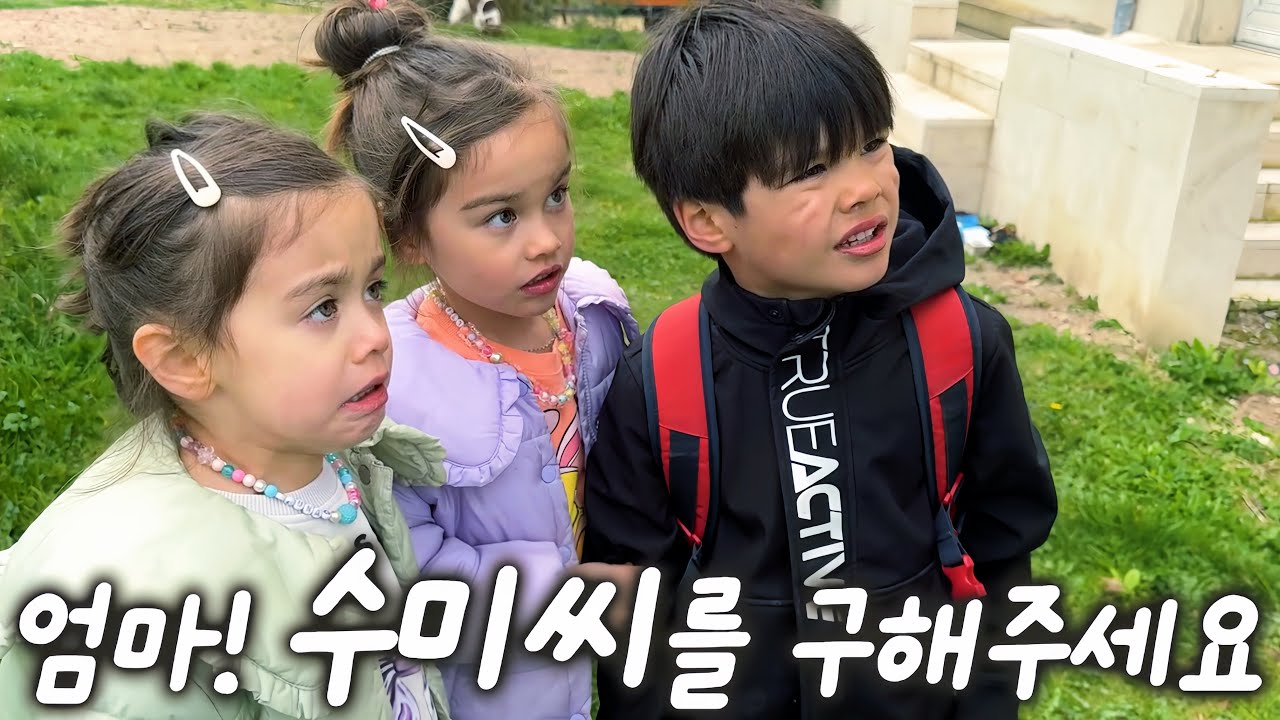 개시누이가 이번엔 고슴도치를 사냥했다! 아비규환 고슴도치 구출부터 임보 그리고 아쉬운 이별까지 , 프랑스 시골에서 일어나는 시트콤같은 일상