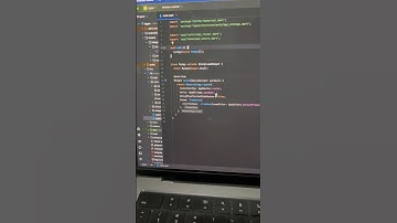 Flutter basics — main() vs runApp()