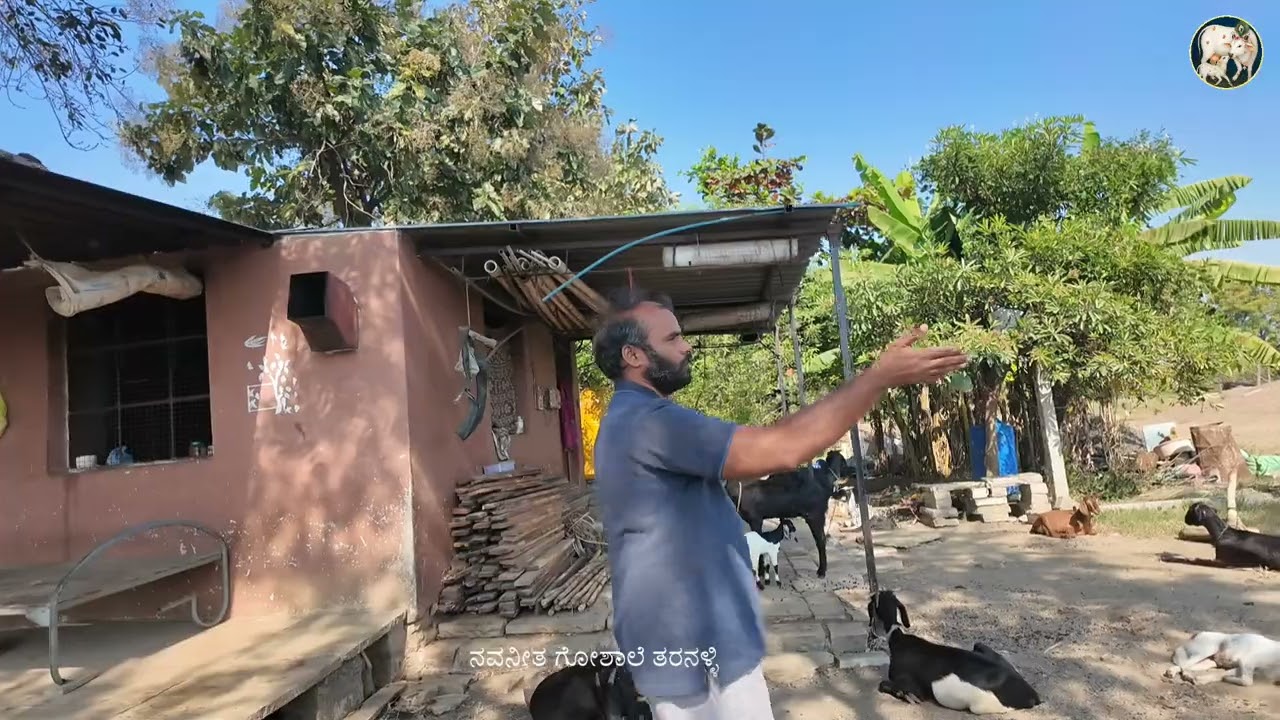 ನವನೀತ ಗೋಶಾಲೆ ಆವರಣದಲ್ಲಿ ಶ್ರೀಕೃಷ್ಣನ ದೇವಾಲಯ