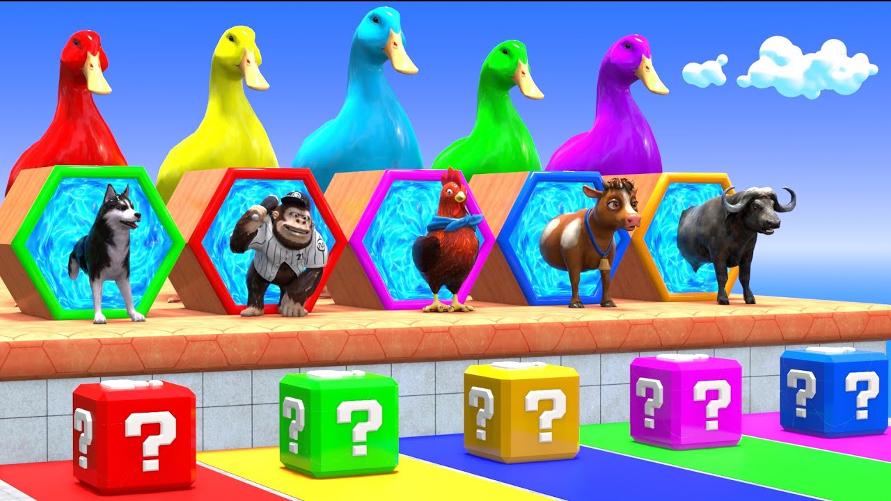 Choose the Right Key Challenge with Cow Tiger Elephant Mammoth Buffalo Gorilla Wild Animals