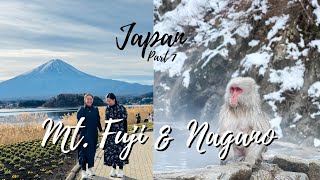 Mt Fuji And Snow Monkeys  2 Days In Kawaguchiko And A Day Trip To Snow Monkey Park In Nagano