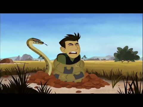 Wild Kratts Theme Song In Slow And Fast Motion