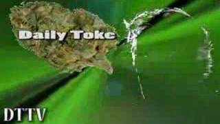 Daily Toke on KILLER CANNABIS?