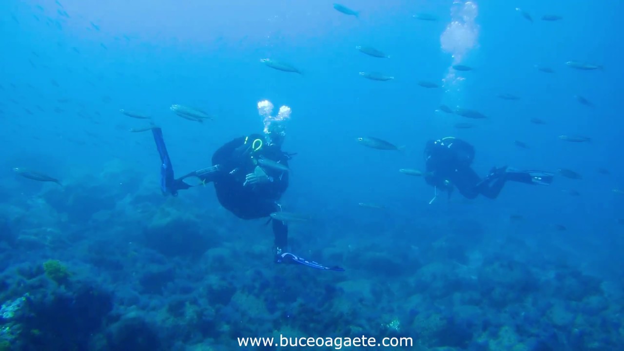 Las Salinas - Gran Canaria - Buceo Agaete - YouTube