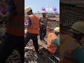 Celebrate Holi 🫟 In construction site civil engineering works #ytshorts #heavycivil