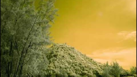 الشيخة سمارة عيسي سورة الناس