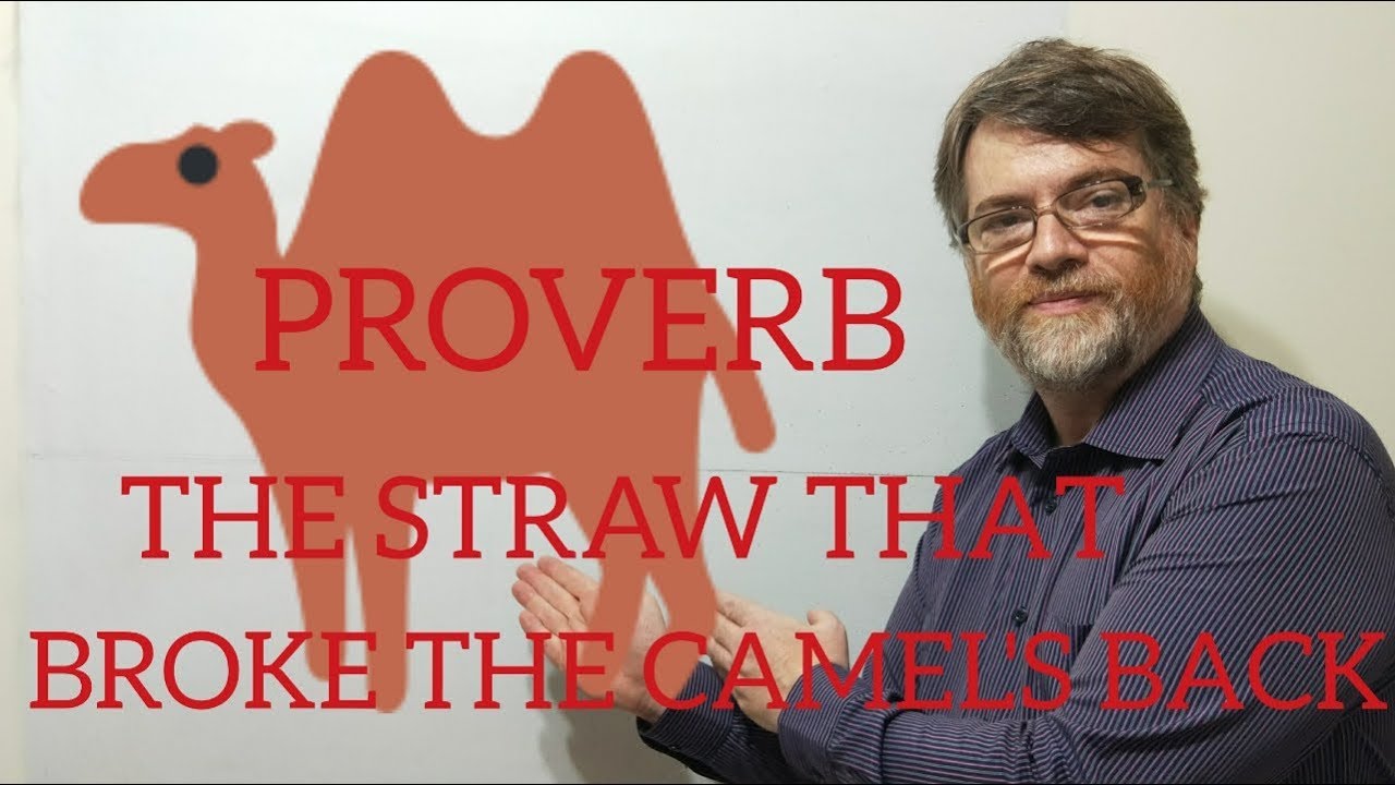 English Tutor Nick P Proverbs 75 The Straw That Broke The Camel S Back Youtube