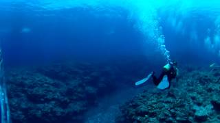 RICOH THETA V Sample video - Diving