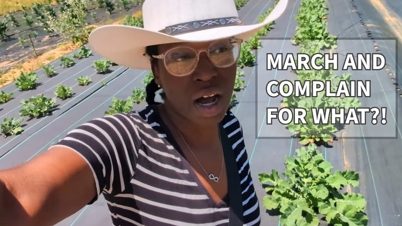 Why Black Farmers Are Not Complaining?