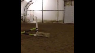 Jumping| ground work| and flat work Raws