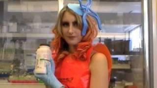 Chromosome (telephone parody)