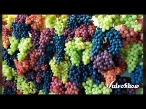 هاني شموس مظلمه