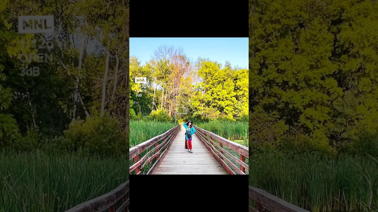 Obejrzyj Many Trees w YouTube Obejrzyj Many Trees w YouTube