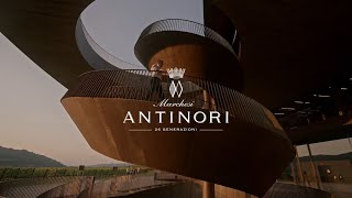 La Vendemmia 2023 2023 Harvest - Renzo Cotarella