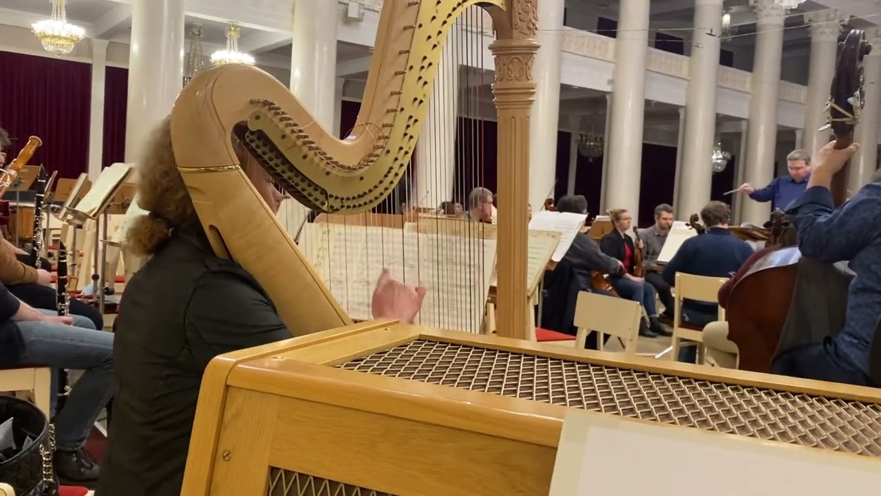 Ravel -Tzigane , Harp cadenza .Anna Makarova ( harp)