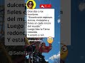 😇 Promesa divina inesperada #chistes #bromas #comedia #risas #divertido #humor #españa #shorts