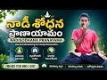 నాడీ శోధన ప్రాణాయామం | మనస్సుకు ప్రశాంతత & శ్వాసకోశ ఆరోగ్యానికి | Telugu Yoga @yogawithnaani