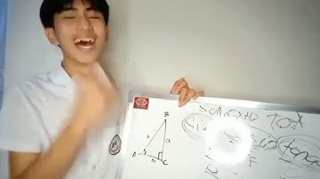 Performance task in Mathematics 9