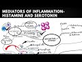 Mediators of inflammation histamine and serotonin
