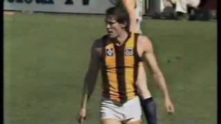 1978 V.F.L Grand Final Hawtorn Vs North Melbourne