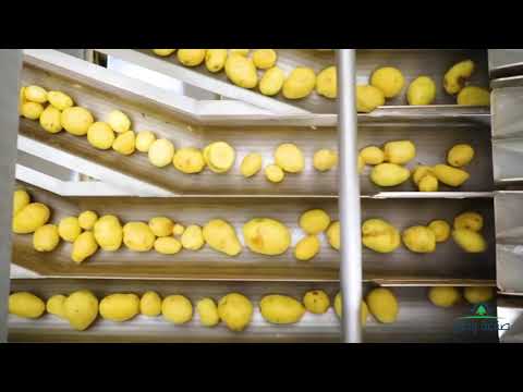 تصنيع الشيبس والبسكويت جولة داخل مصانع 