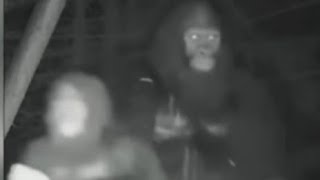 A Trail Camera Just Captured Two Bigfoot Together And Its The Clearest Ever