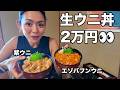 【本場のウニ】一生に一度は食べたい北海道の積丹の生ウニが○○過ぎた