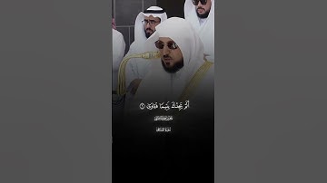 وَٱلضُّحَىٰ ۝١ وَٱلَّيۡلِ إِذَا سَجَىٰ |سورة الضحى |فضيله الشيخ ماهر المعيقلي