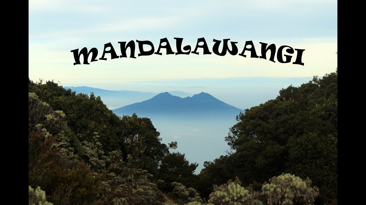 Lembah Mandalawangi - Taman Edelweiss - YouTube