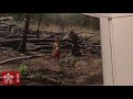 Iglesia que da la vida por la Amazonía Iglesia que da la vida por la Amazonía